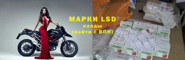 трава Беломорск