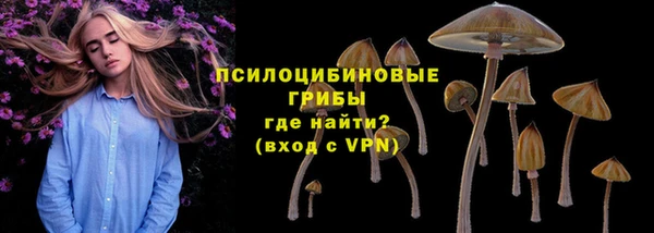 ALPHA PVP Белокуриха