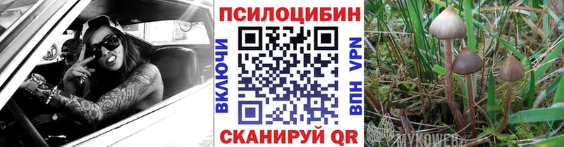 Галлюциногенные грибы Cubensis  купить   Томск 